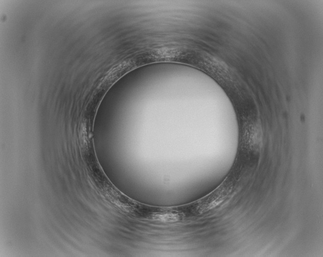 X0000059080220200510211550