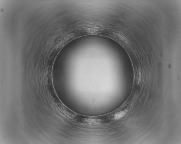 X0000059080221200510211550