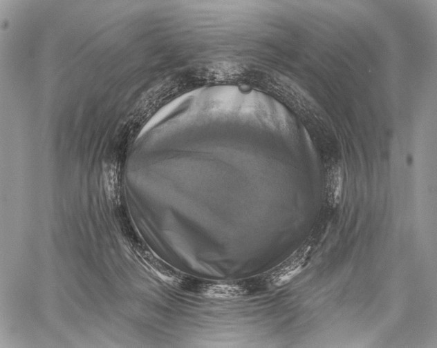 X0000059080222200510211550