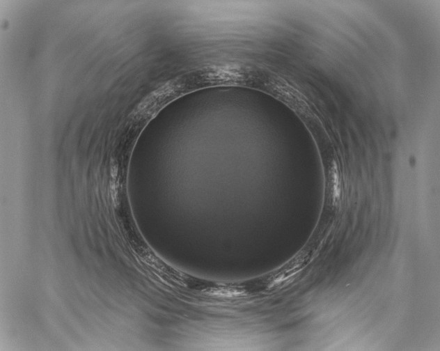 X0000059080223200510211550