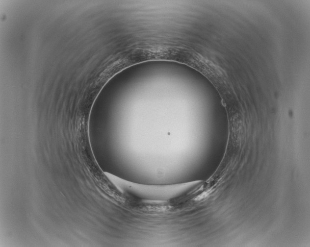 X0000059080225200510211550