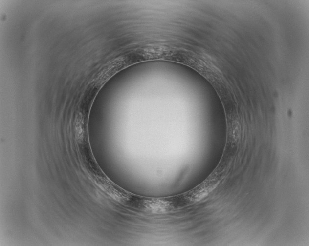 X0000059080226200510211550