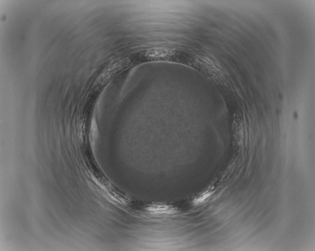 X0000059080227200510211550