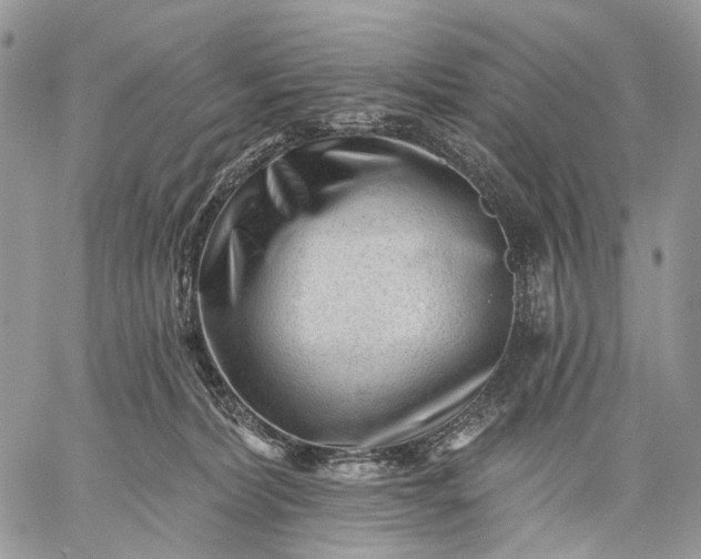 X0000059080228200510211550