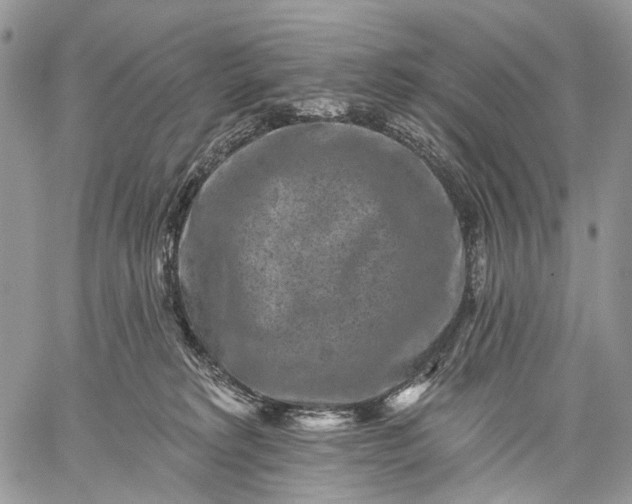 X0000059080229200510211550