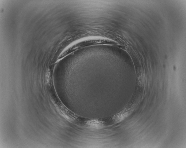 X0000059080231200510211550