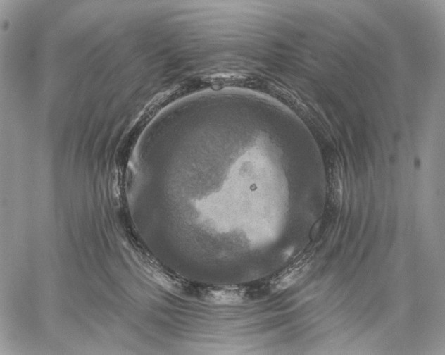 X0000059080232200510211550