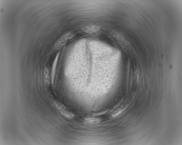 X0000059080234200510211550