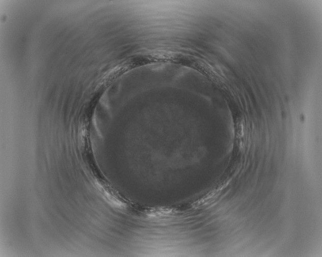 X0000059080235200510211550