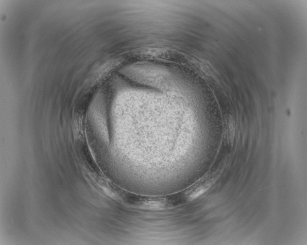 X0000059080236200510211550