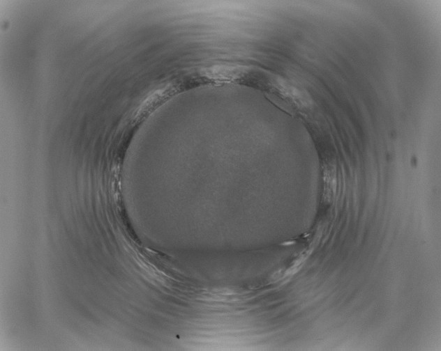 X0000059080237200510211550