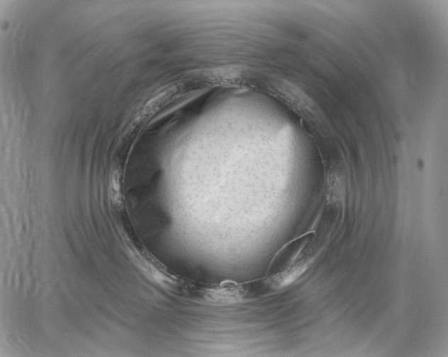 X0000059080238200510211550