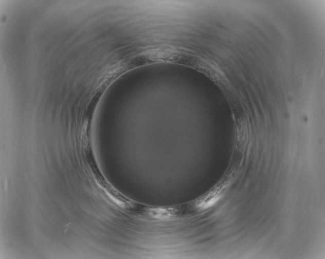 X0000059080239200510211550