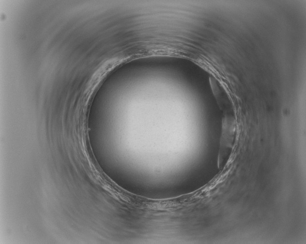 X0000059080241200510211549