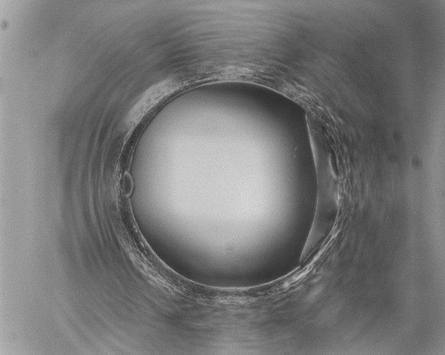 X0000059080242200510211549