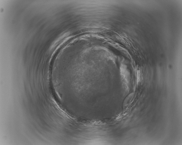 X0000059080243200510211549