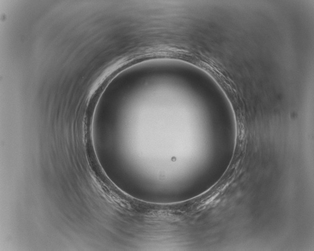 X0000059080244200510211549