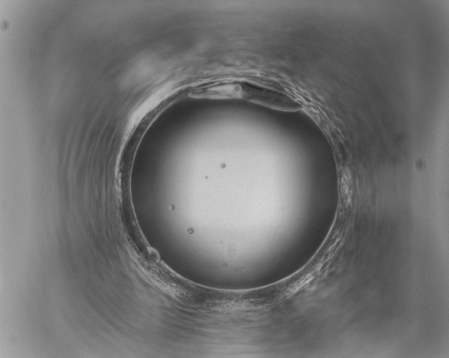 X0000059080246200510211549