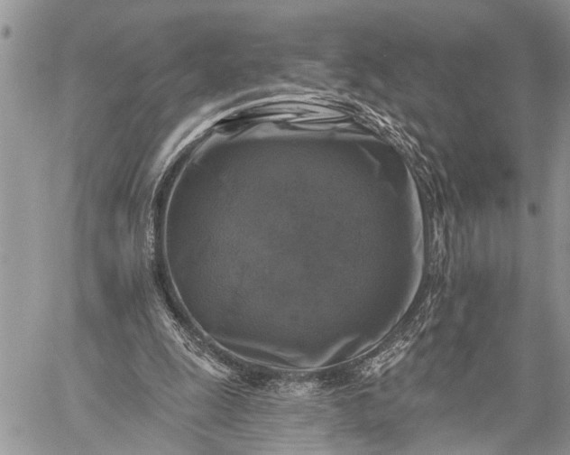 X0000059080247200510211549