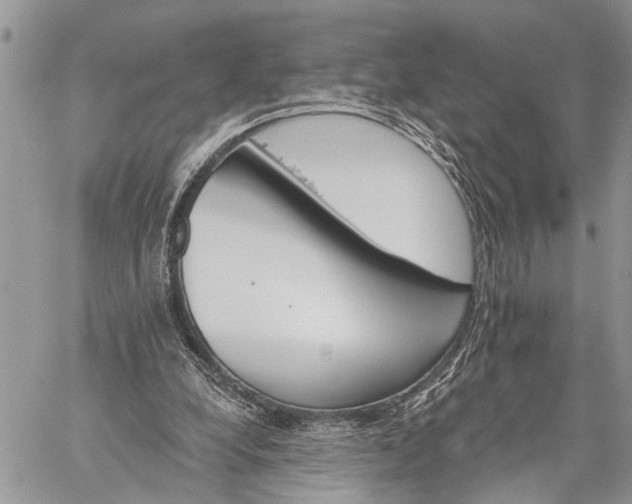 X0000059080248200510211549