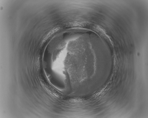 X0000059080250200510211549