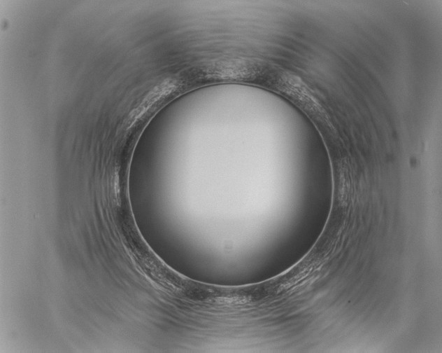 X0000059080251200510211549