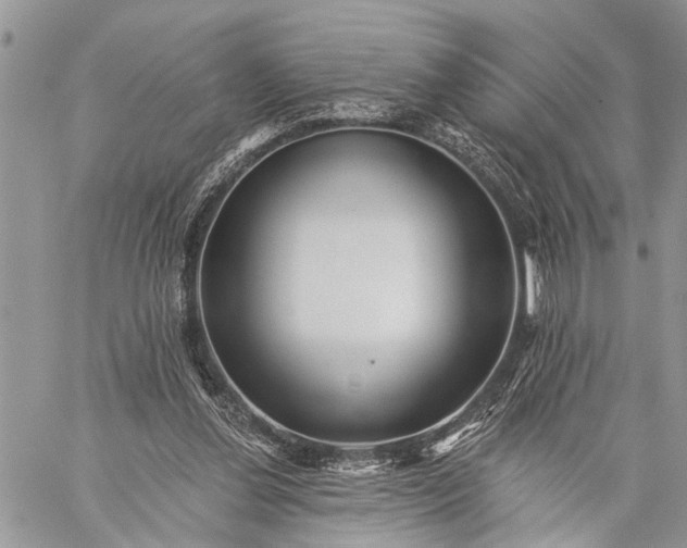 X0000059080252200510211549