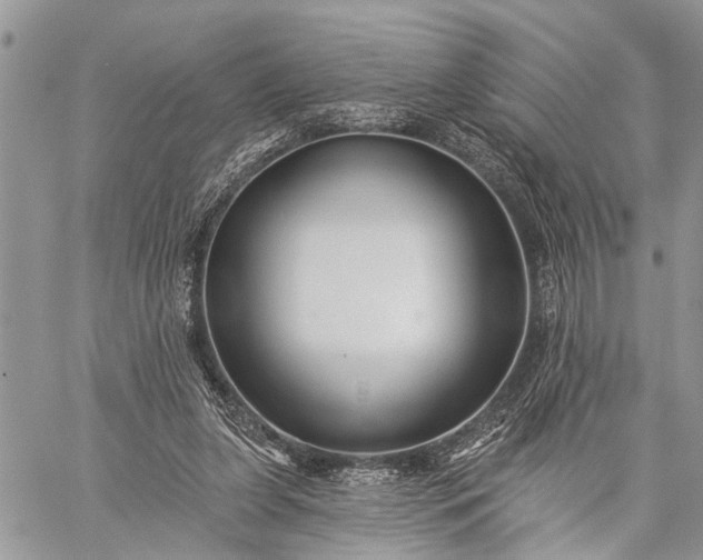 X0000059080255200510211549