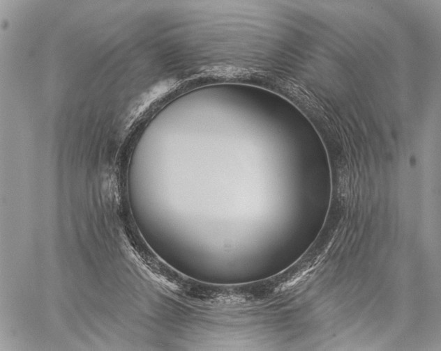 X0000059080256200510211549