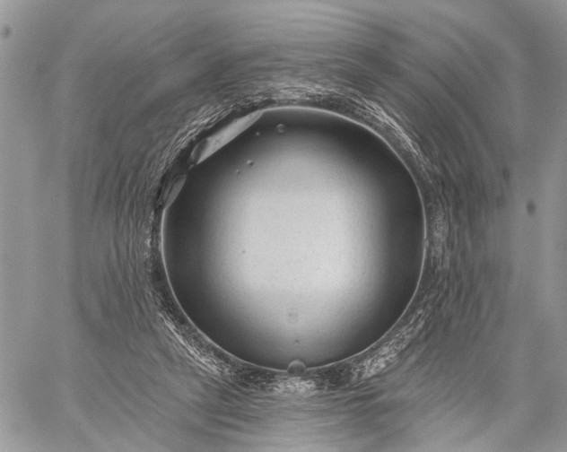 X0000059080257200510211549