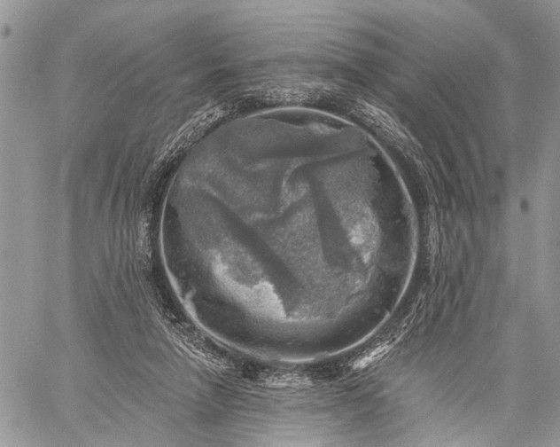 X0000059080258200510211549