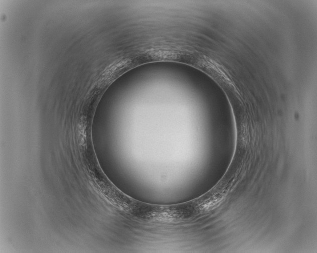 X0000059080259200510211549