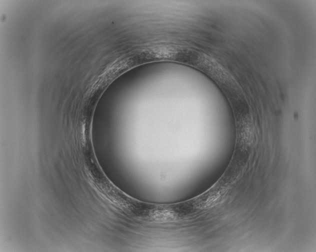 X0000059080262200510211549