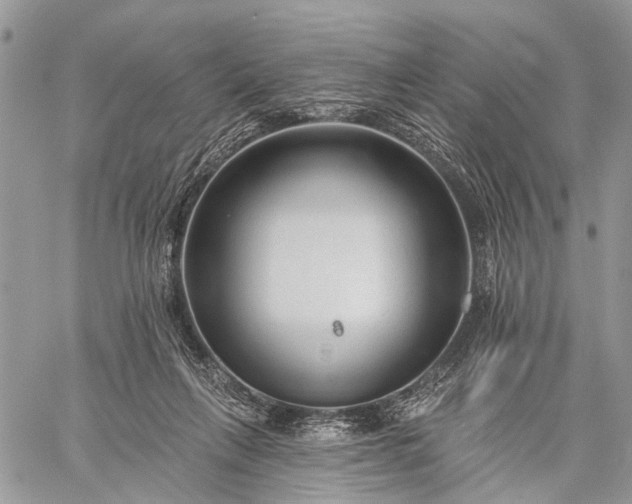 X0000059080263200510211549