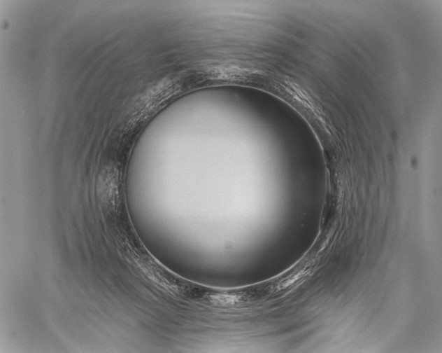 X0000059080265200510211549