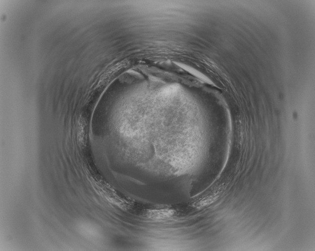 X0000059080266200510211549