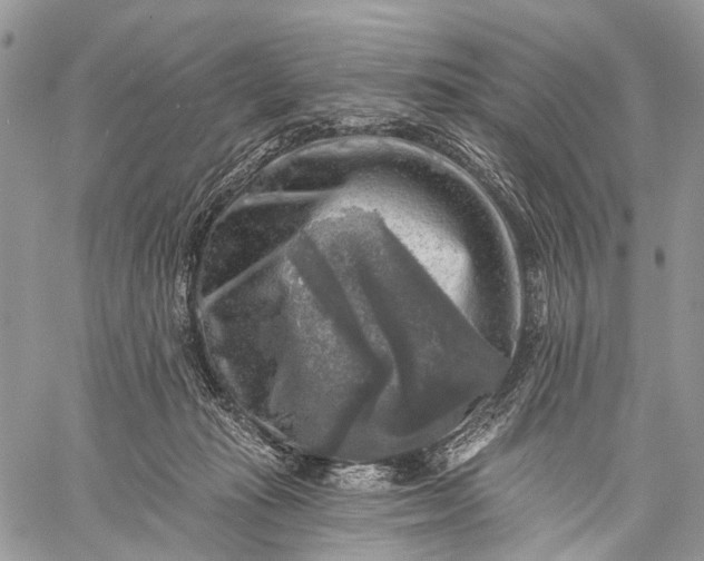 X0000059080269200510211549