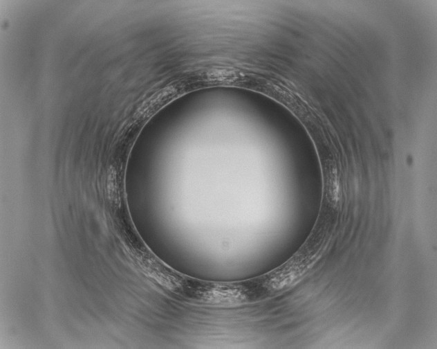 X0000059080270200510211549