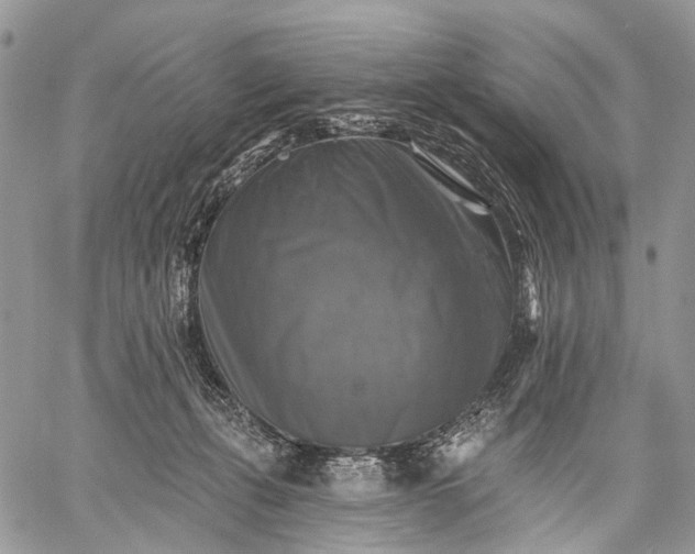 X0000059080271200510211549