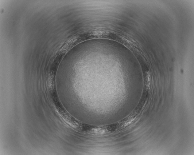 X0000059080272200510211549