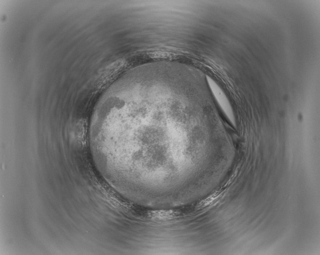 X0000059080273200510211549