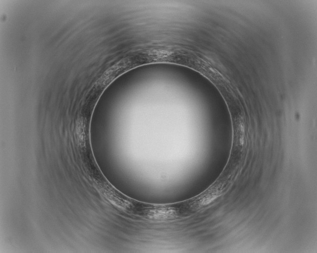 X0000059080274200510211549