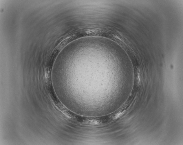 X0000059080276200510211549