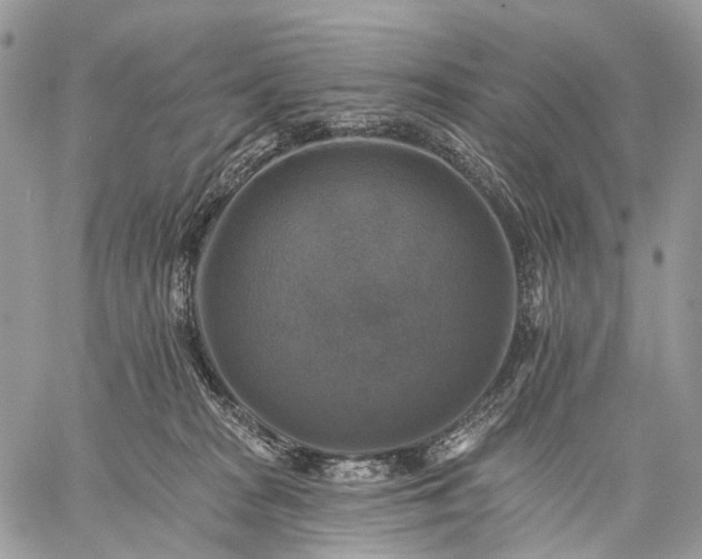 X0000059080277200510211549