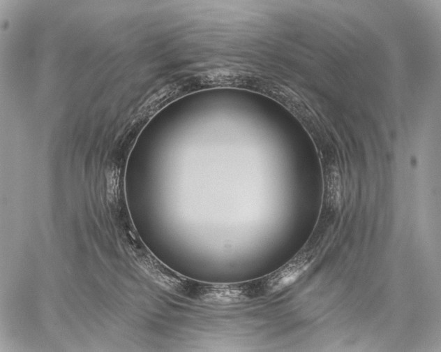 X0000059080278200510211549