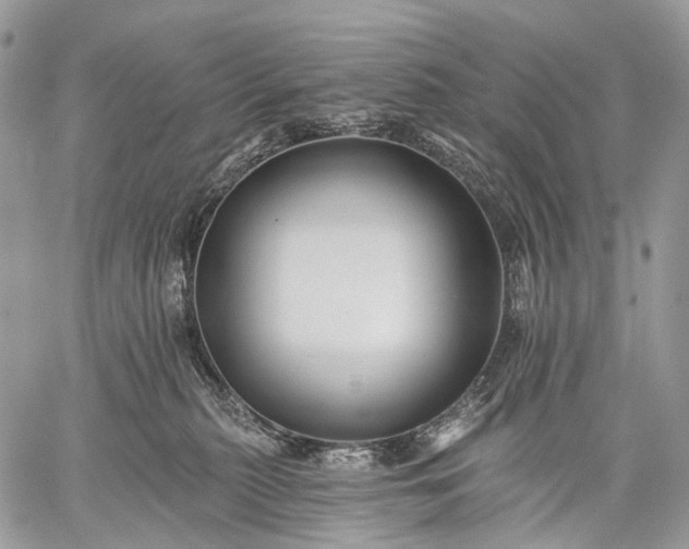 X0000059080279200510211549