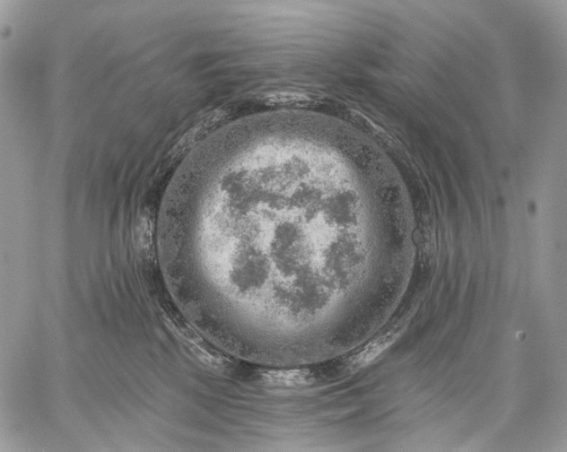 X0000059080281200510211549