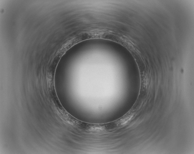 X0000059080283200510211549