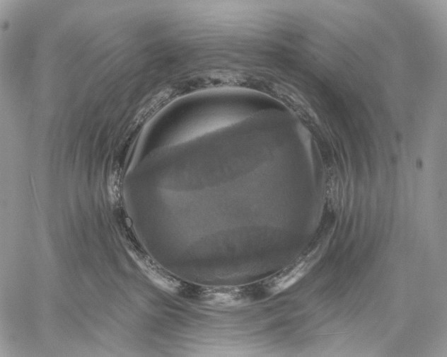 X0000059080285200510211549