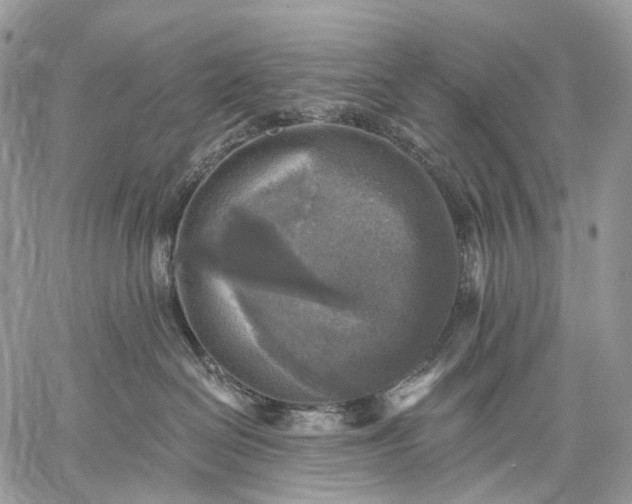 X0000059080286200510211549